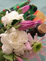 可以直接選擇看實際大小.或選擇more可以看到更多照片資訊.http://www.fuji.com.tw數位蘋果網
