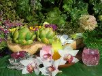可以直接選擇看實際大小.或選擇more可以看到更多照片資訊.http://www.fuji.com.tw數位蘋果網
