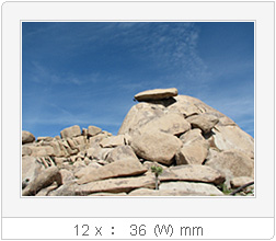 12x 36mm