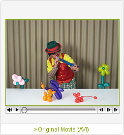Sample Movie 2