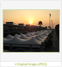 Sample Image 5