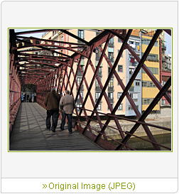 Sample Image 6