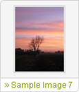 Sample Image 7
