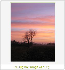 Sample Image 7