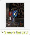 Sample Image 2