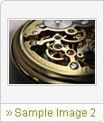Sample Image 2