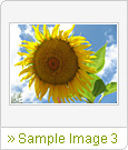 Sample Image 3