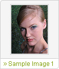 Sample Image 1