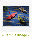 Sample Image 2