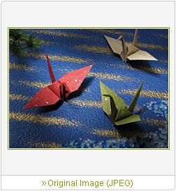 Sample Image 2
