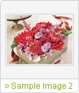 Sample Image 2