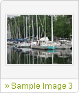 Sample Image 3