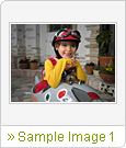 Sample Image 1