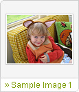 Sample Image 1