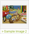 Sample Image 2