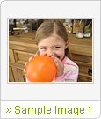 Sample Image 1