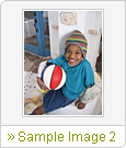 Sample Image 2