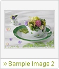 Sample Image 2