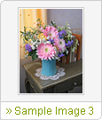 Sample Image 3