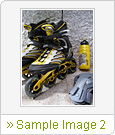 Sample Image 2