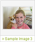 Sample Image 3
