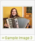 Sample Image 3