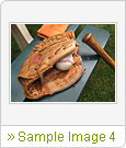 Sample Image 4