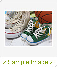 Sample Image 2