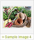Sample Image 4