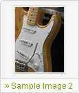 Sample Image 2