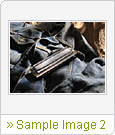 Sample Image 2