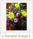 Sample Image 4