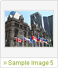 Sample Image 5