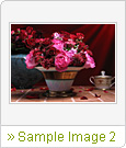 Sample Image 2