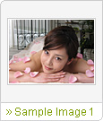 Sample Image 1