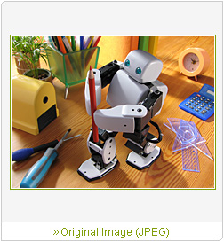 Sample Image 3