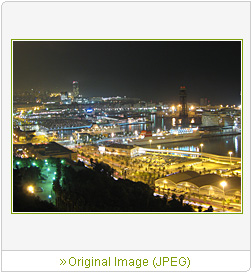 Sample Image 6