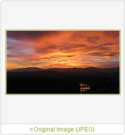 Sample Image 7