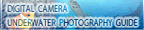 Underwater Photography Guide
