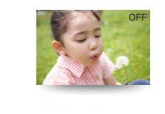 OFF (��)