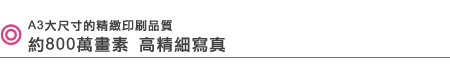 A3???????????? ��800�E?�� �����?�u*
